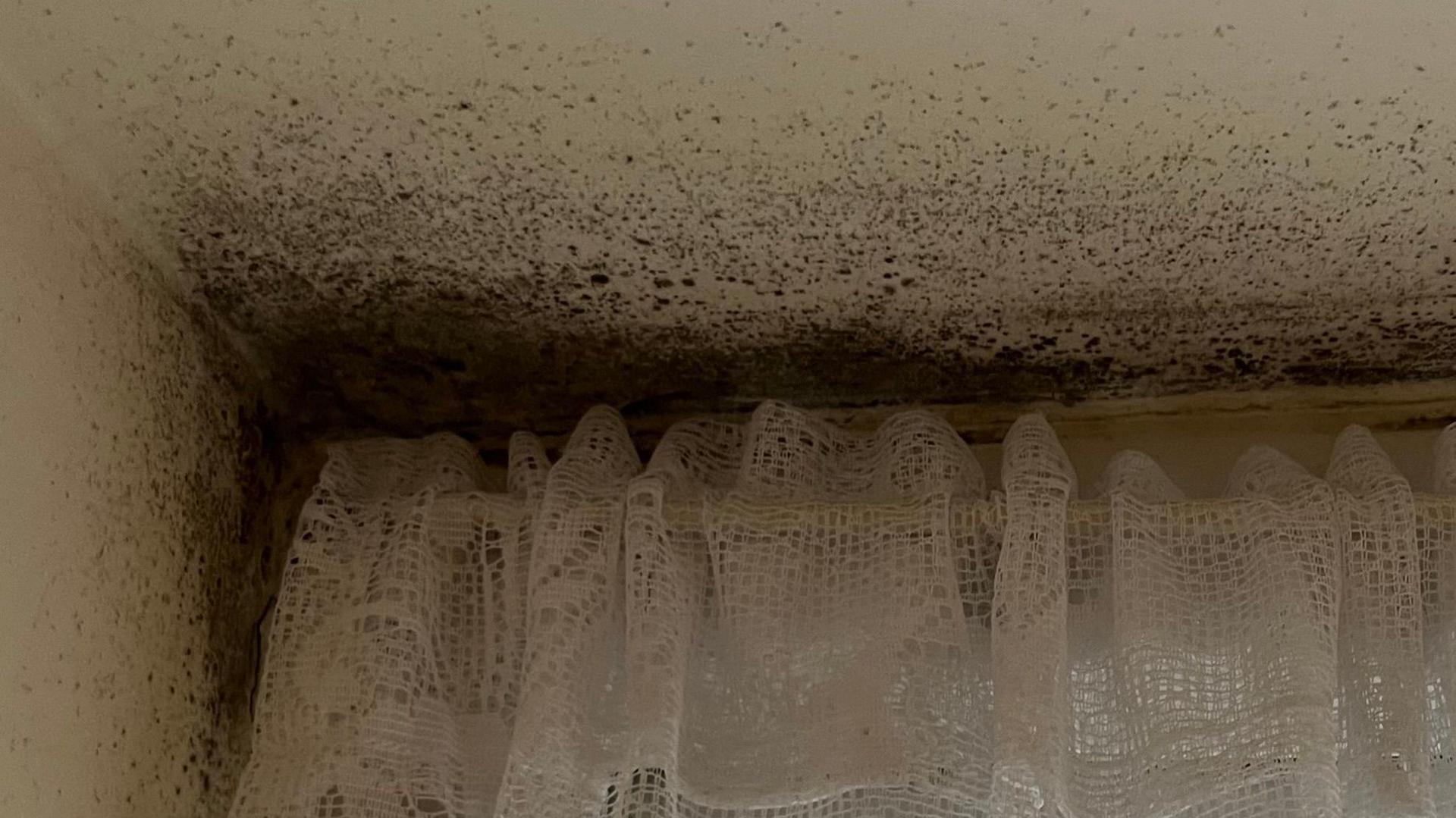 Black mould on the inside of a UPVC window frame, with a lacy net curtain hanging over the window.