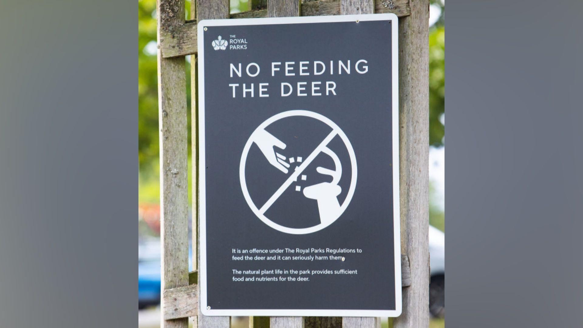 A sign at Richmond Park telling visitors not to feed the deer.