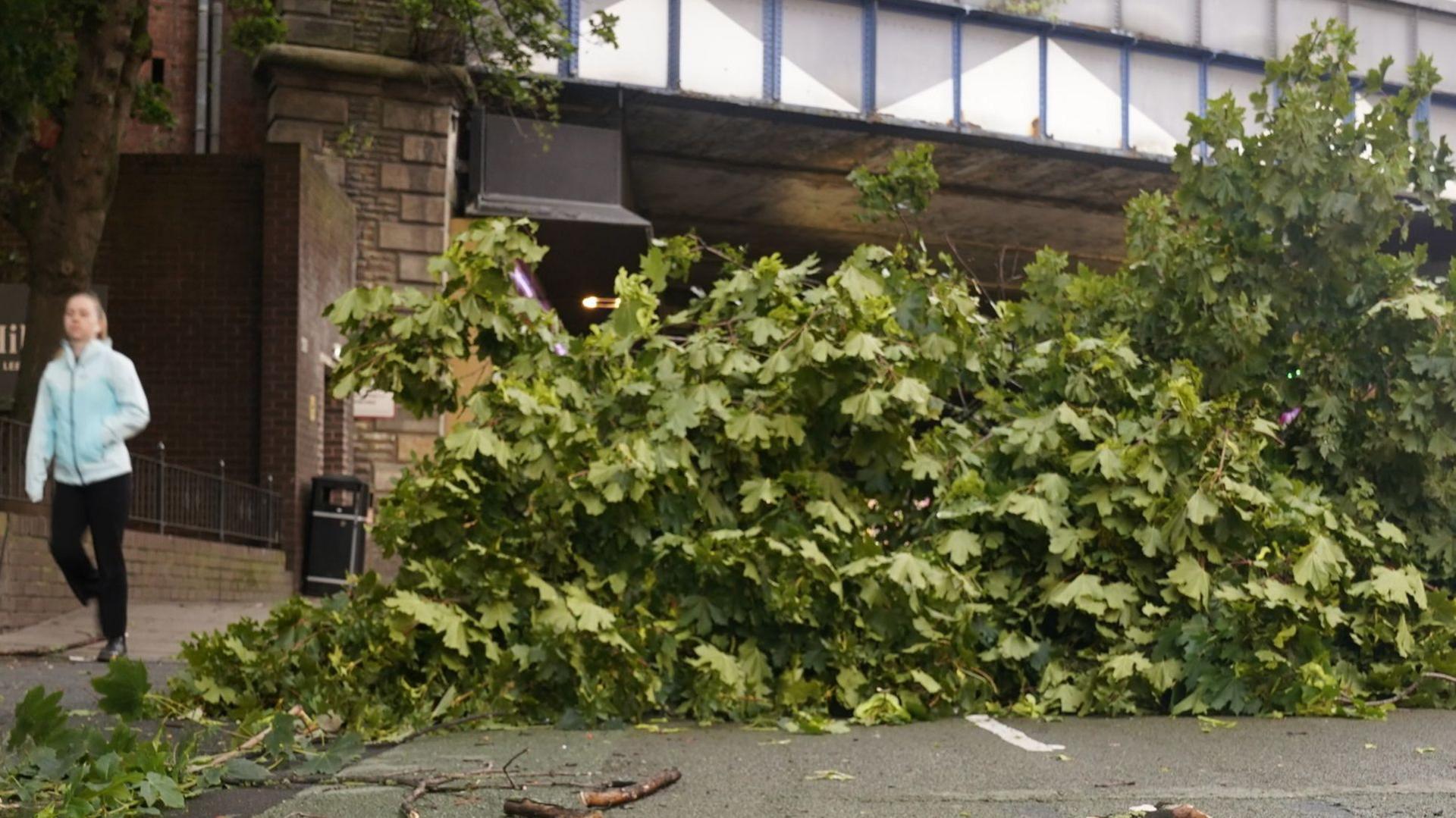 A tree branch blocks a cycle path in Leeds city centre as storm Lilian hits the UK. Picture date: Friday August 23, 2024