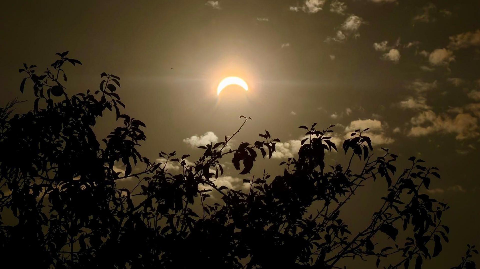 A crescent sun/moon on a dark sky with clouds and branches visible in front.