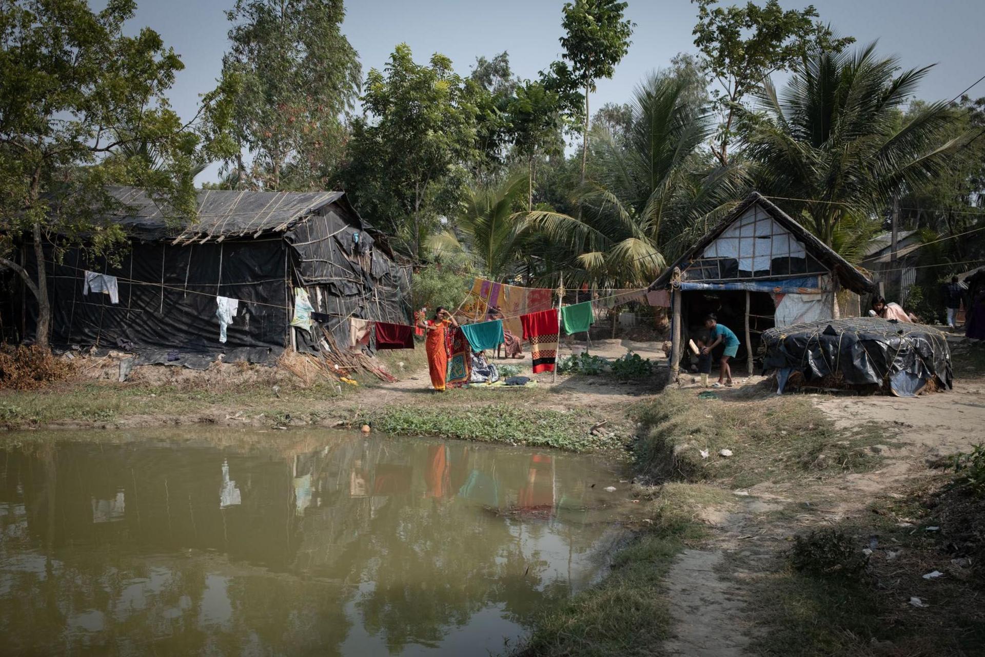 Sundarban village pond