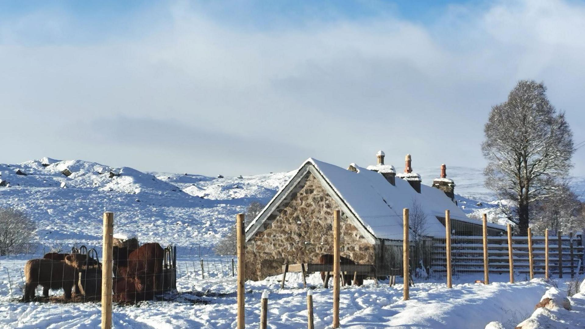 A row of small houses covered in snow. A line of fence posts and a wire fence pen with some cows. There is a hay ring for feeding the animals in the field, which is covered in snow.