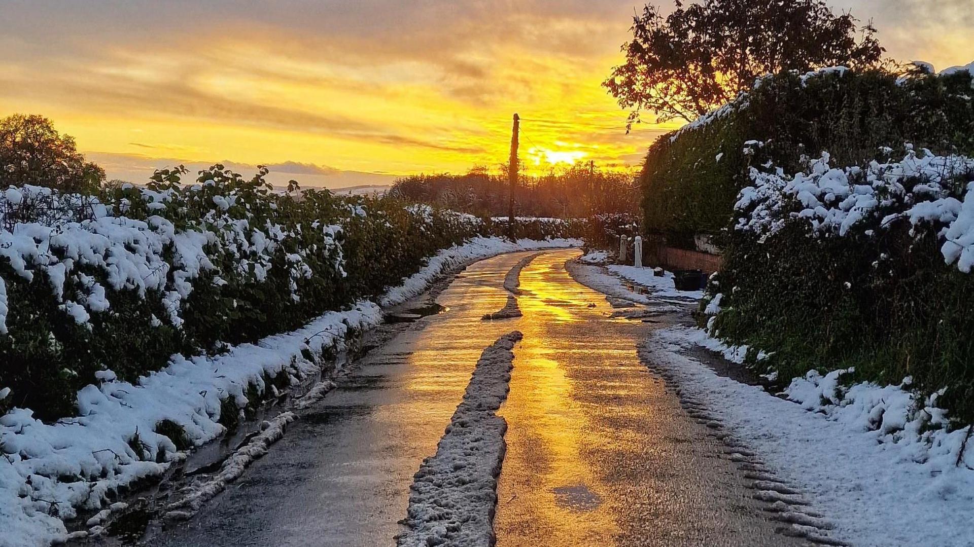 Sunset on a country road. the sky is golden and reflecting onto the road surface which has a strip of snow in the middle where car tyres have not melted the ice.  the hedgerows on either side of the road are also covered in snow. 