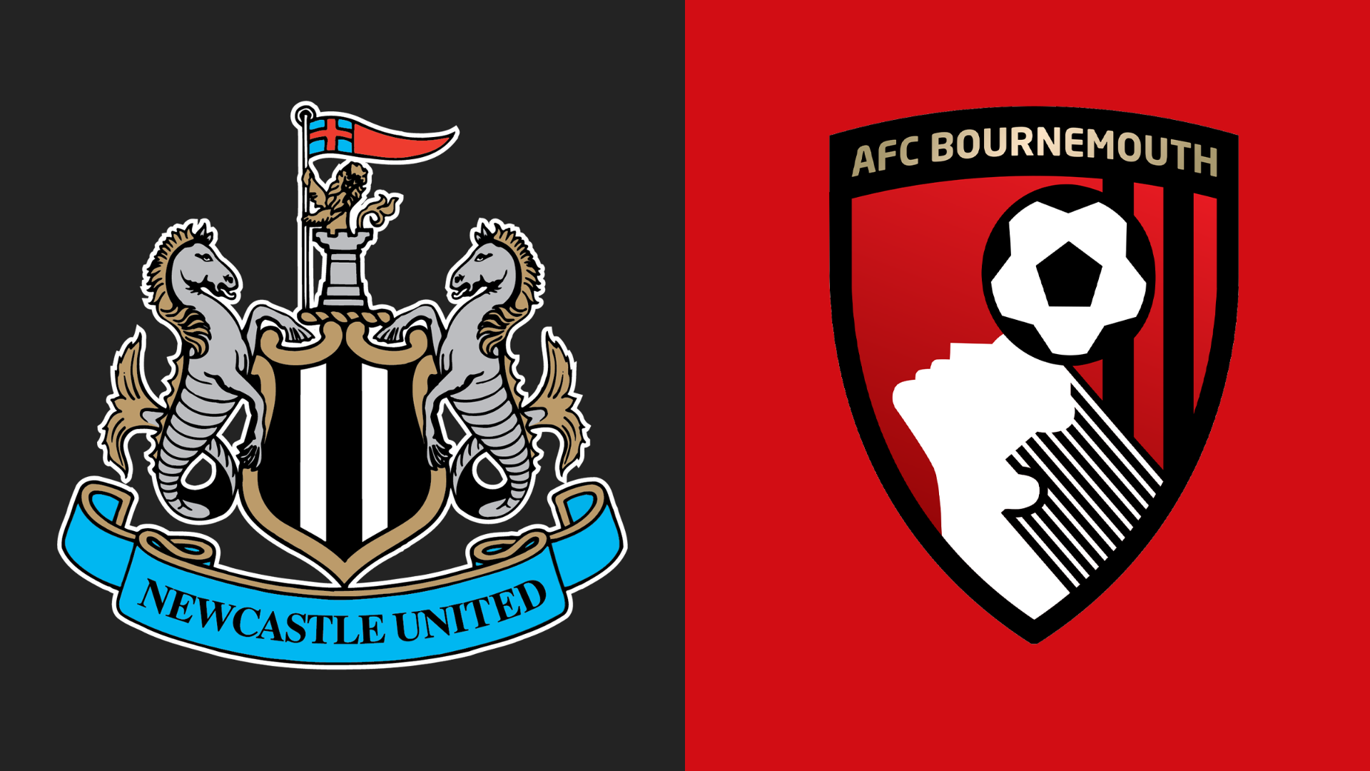 Newcastle v Bournemouth