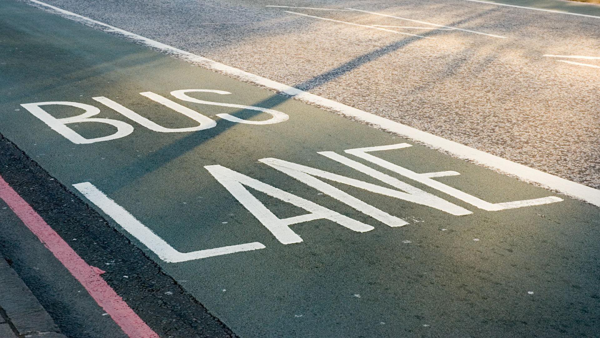 An up-close shot of a bus lane.