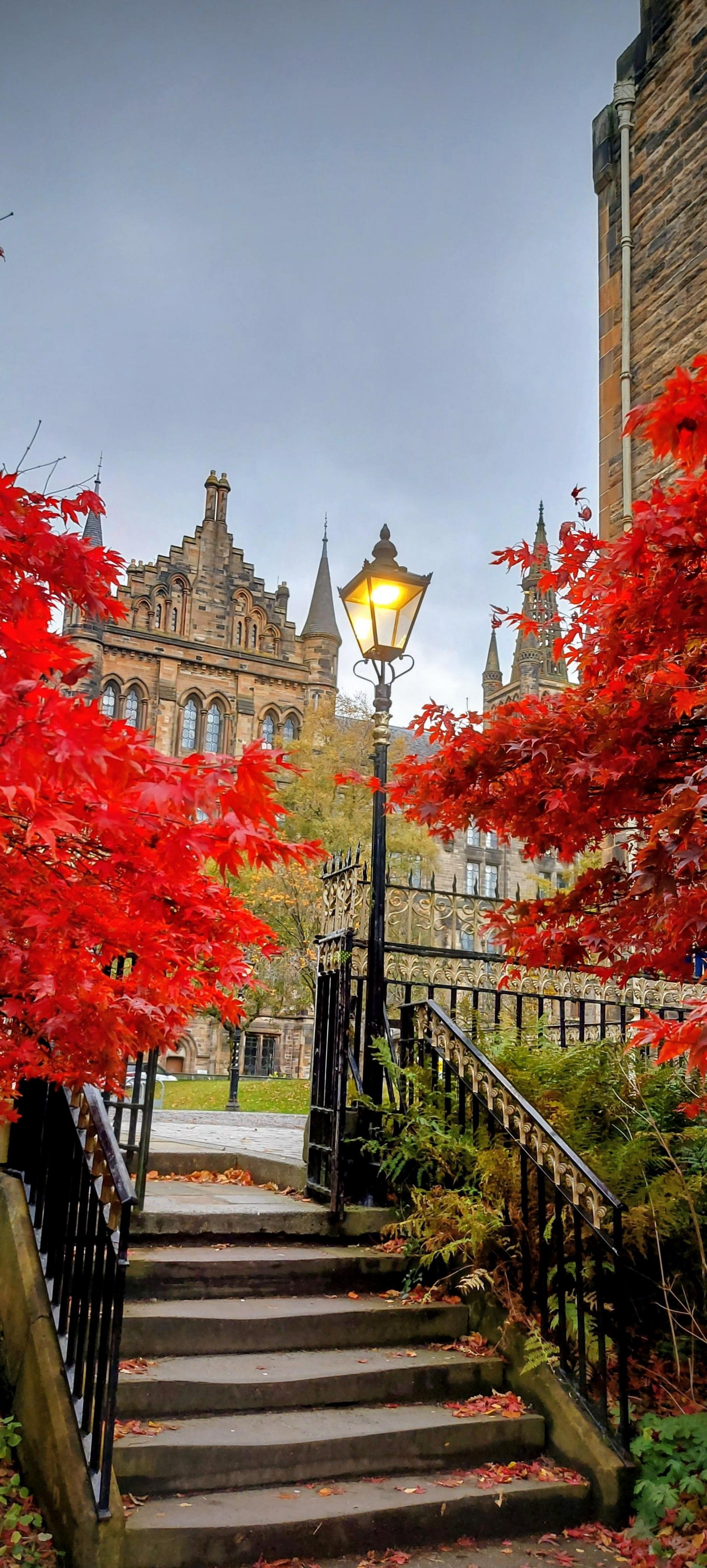 A stone staircase framed by black wrought-iron railings leads up to a glowing streetlamp surrounded by vivid red autumn leaves. Behind the foliage, an ornate historic building with spires and intricate architecture rises against a grey sky.