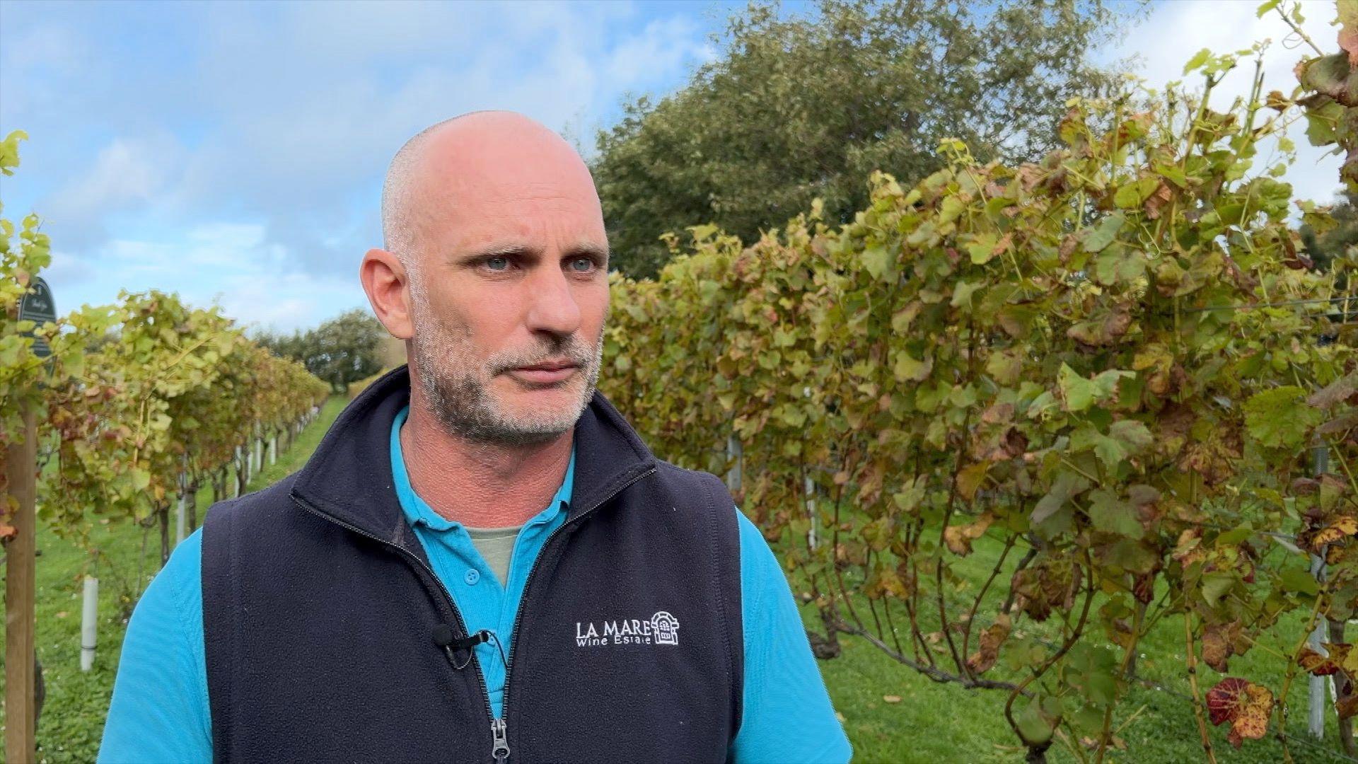 A man with a beard, wearing an aqua blue polo shirt and a navy blue jumper stands in a vineyard in Jersey.