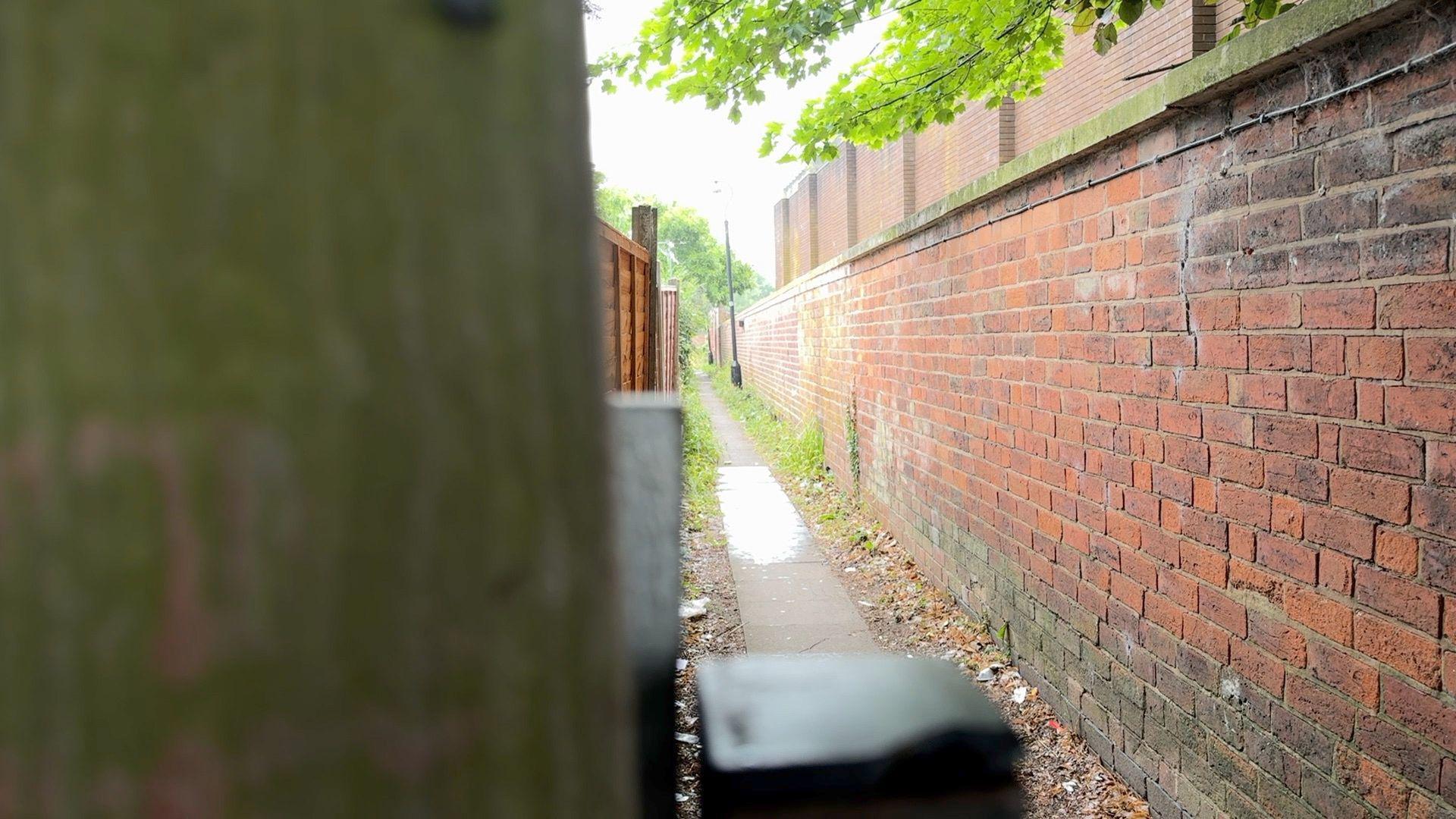 A picture of a narrow alley-way with brown fences on the left and a brick wall on the right. The photo is taken from behind a tree which obscures the left of the photo.