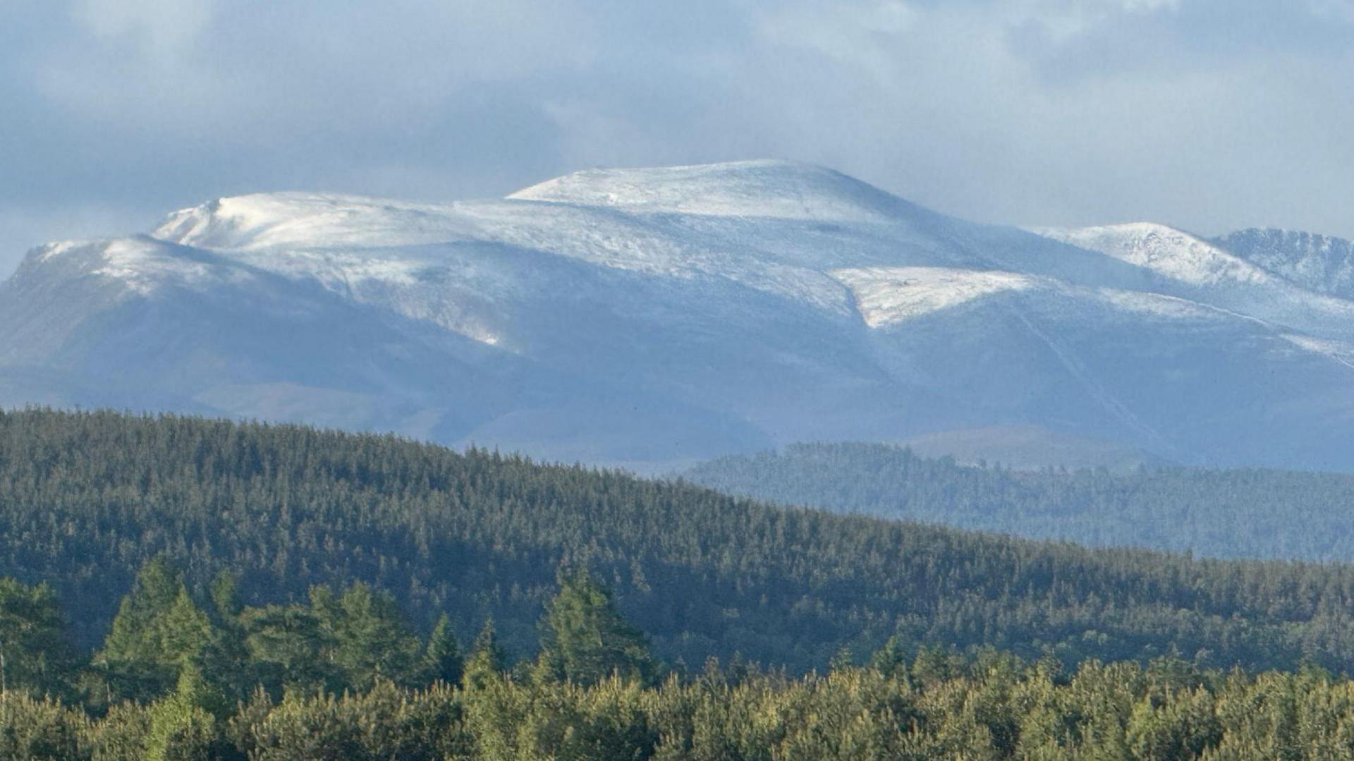 Snow dusts mountains rising from a large forest of fir trees. It is a bright day, but there are some clouds in the sky.