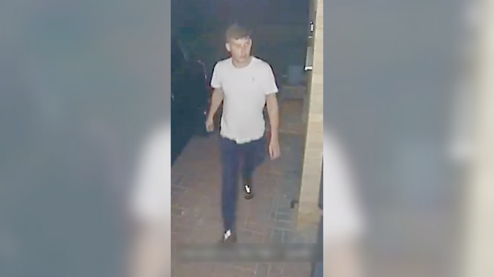 CCTV image of Joshua Plant