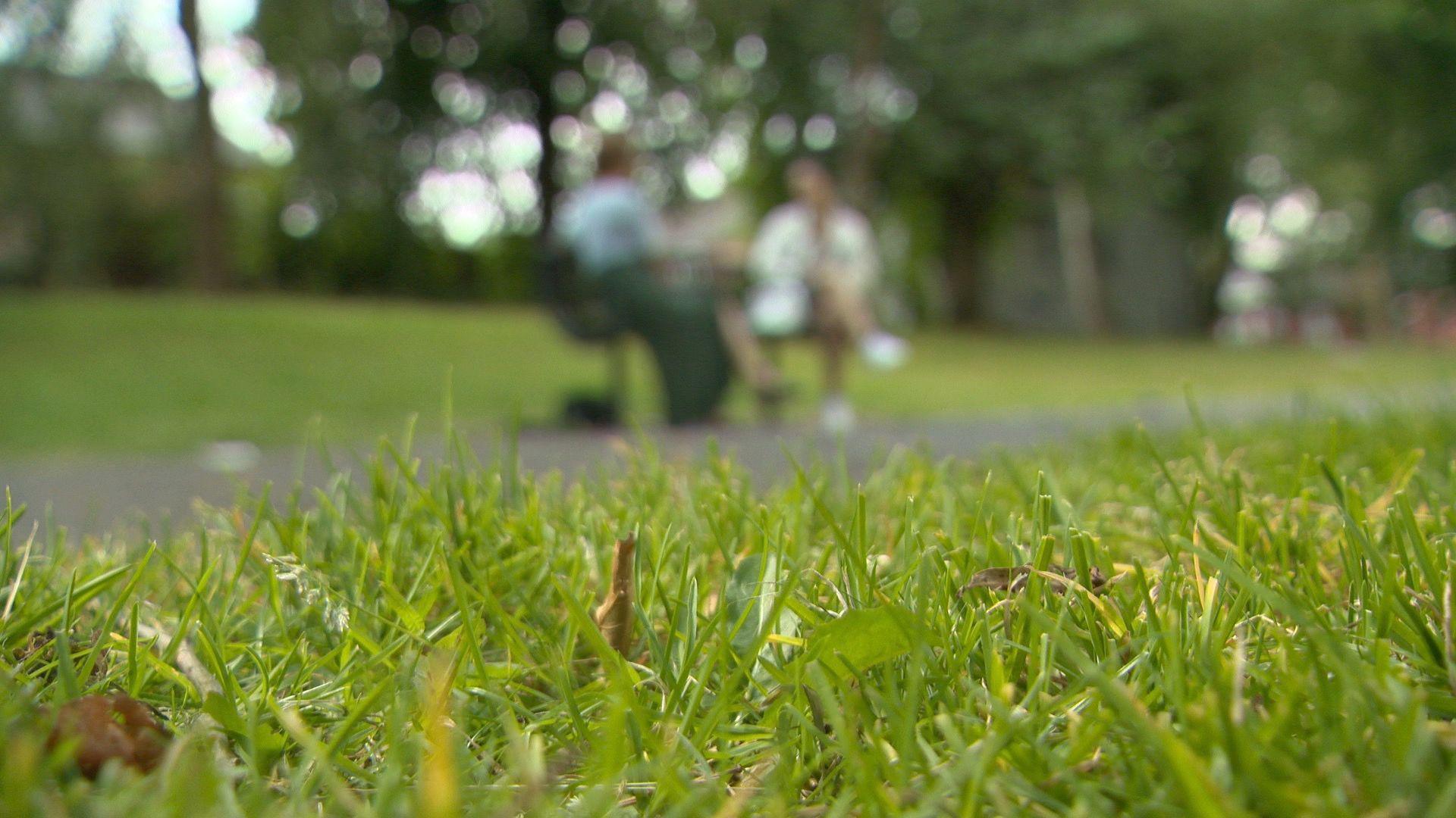 Grass in the foreground with a blurred out image of two people sat on a park bench in the background