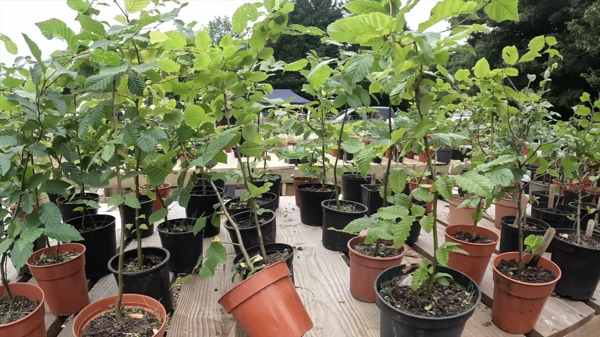 A photo of the nursery