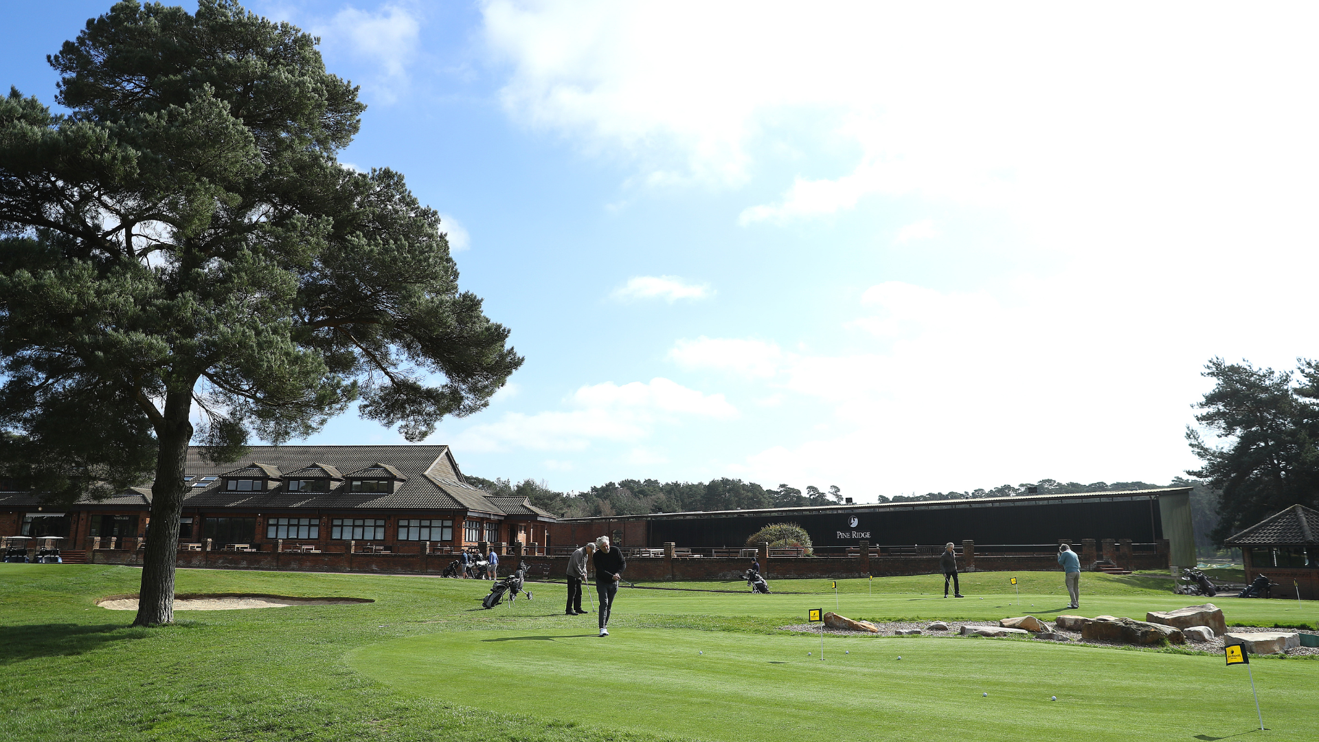 Half a dozen people putting golf balls on a green in front of a large brown club house. There is a large tree on the left of the image