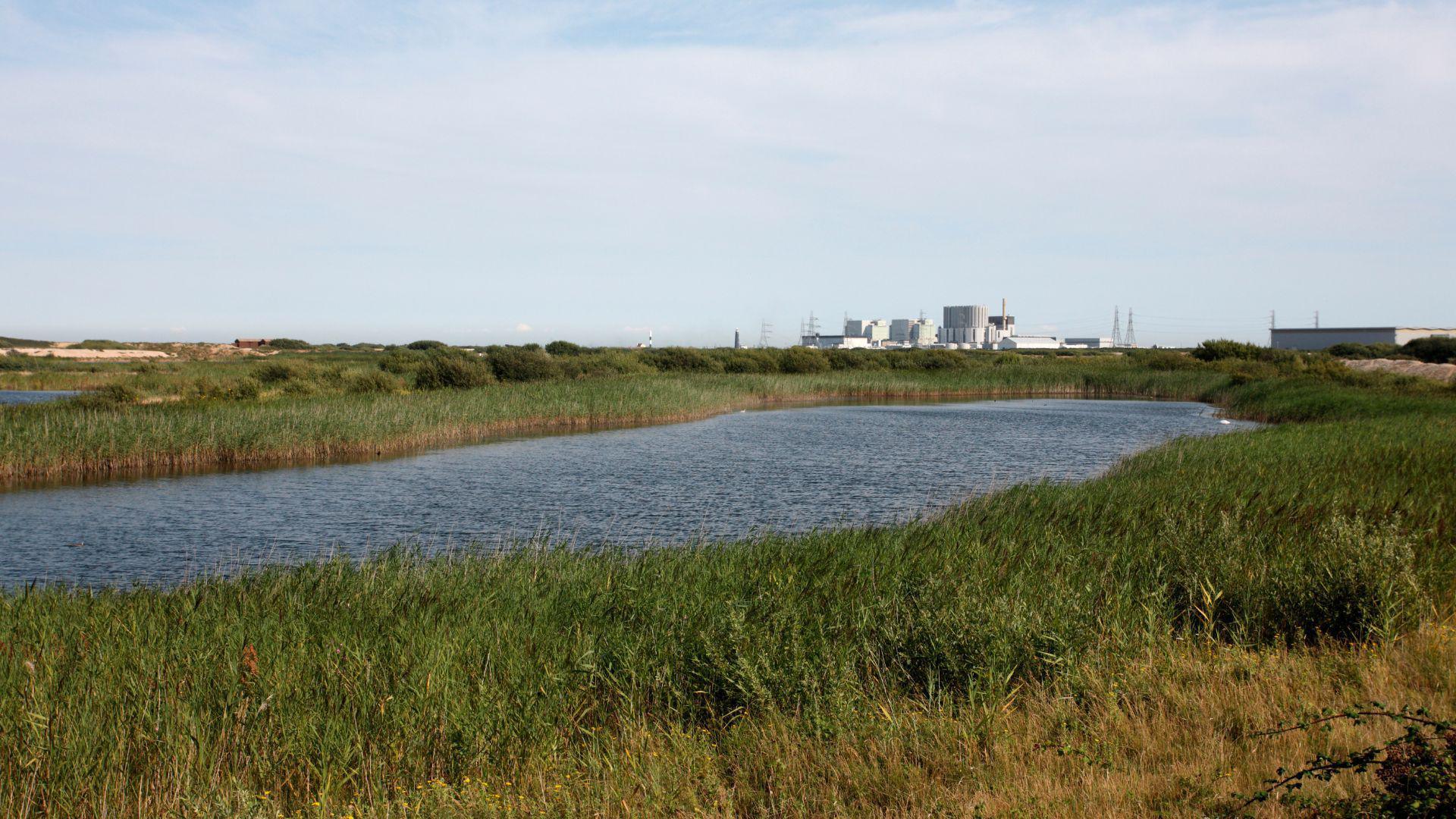 A large reed nature reserve with a body of water in the centre. In the background is the Dungeness nuclear power station