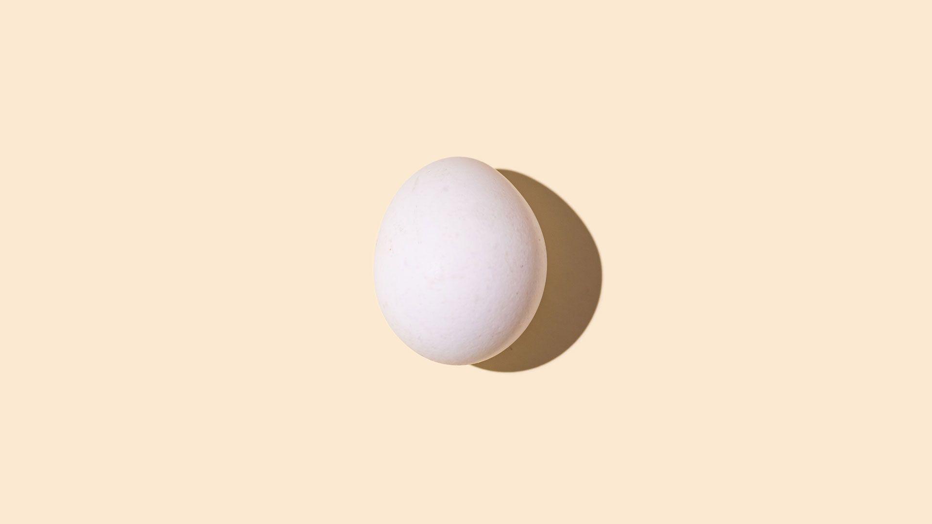 An egg (chicken egg) on a pale yellow background