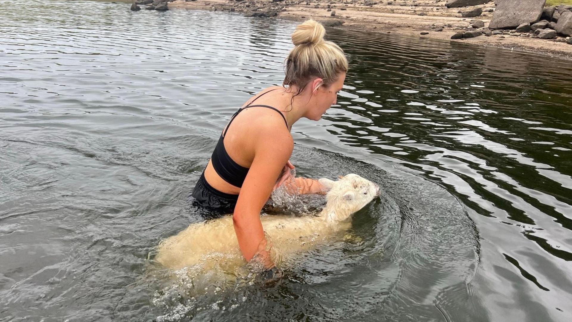 Britney Lawrence helps a sheep out of the water at Siblyback Lake in Cornwall after swimming out in her black running gear to rescue it. He blonde hair is in a bun.