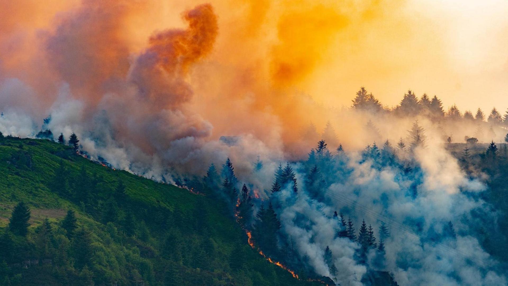 fire at Rhigos mountain