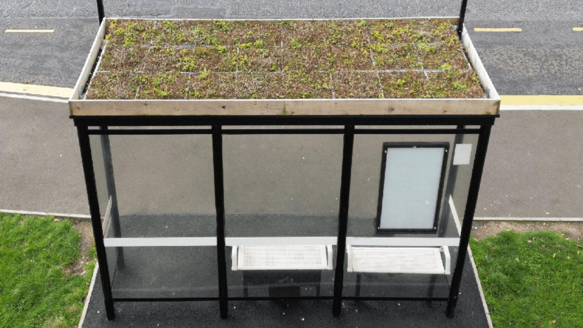 A bus shelter with wildflowers, arranged in linking compartments, on its roof