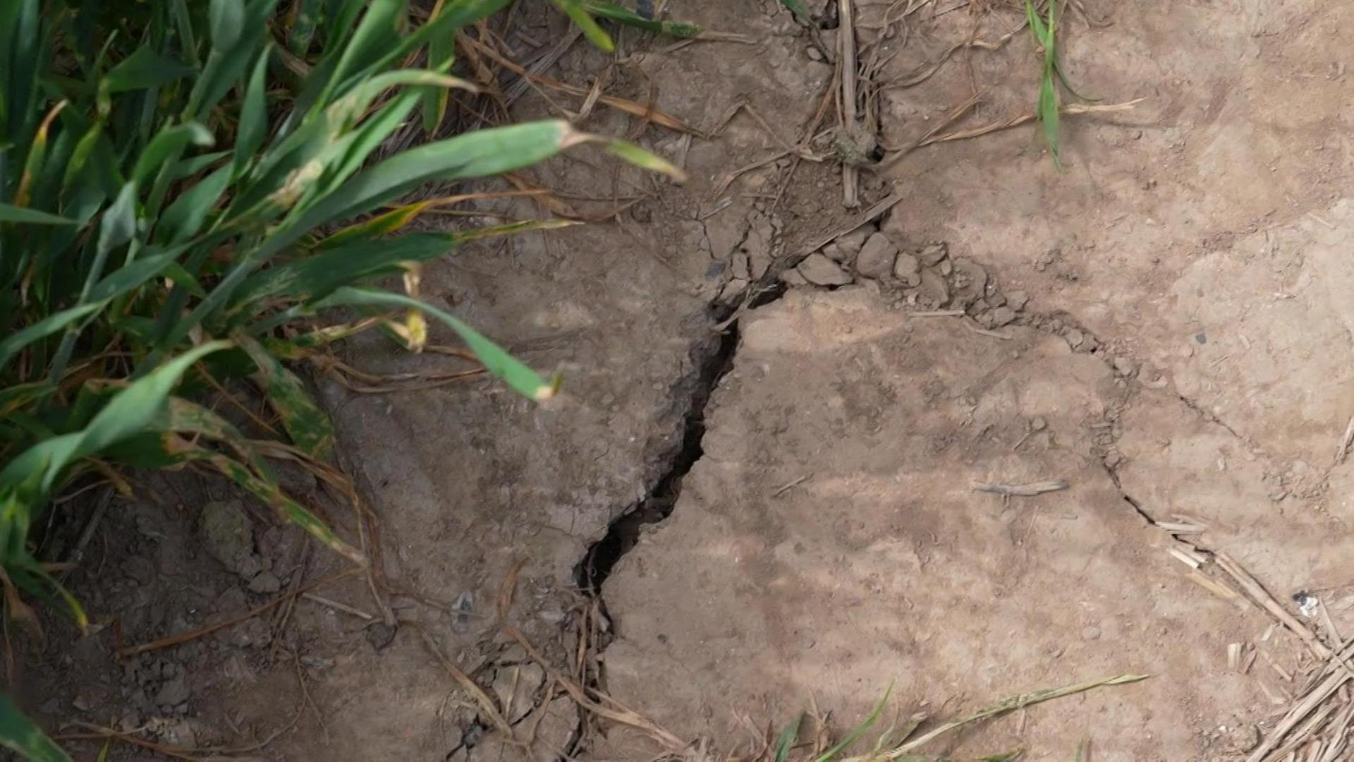 A large crack can be seen in the earth which looks dry and hard. There are limp bits of grass with singed tips.