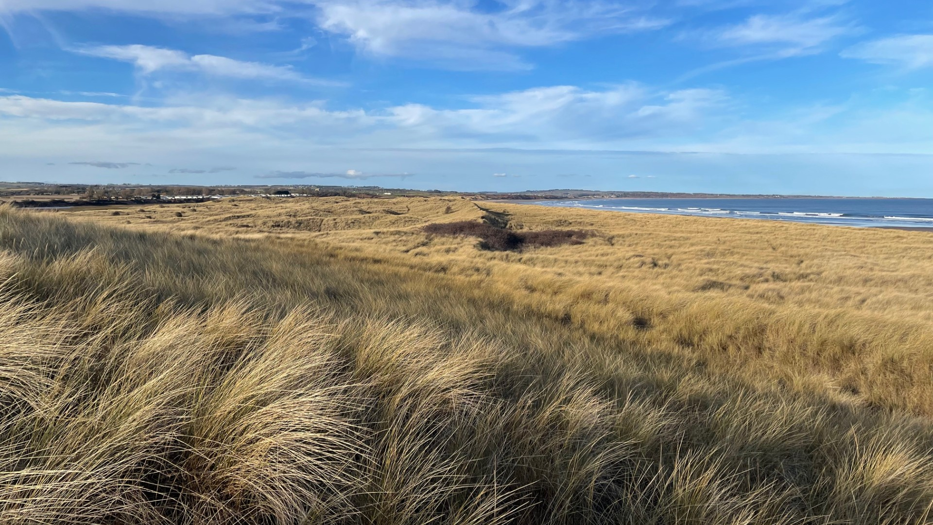 The picture shows extensive dunes with the sea in the distance 