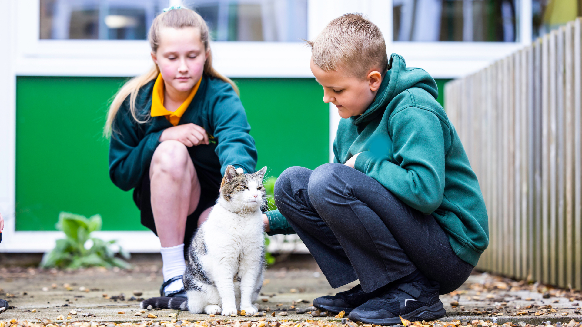 Cilla being petted by two children.