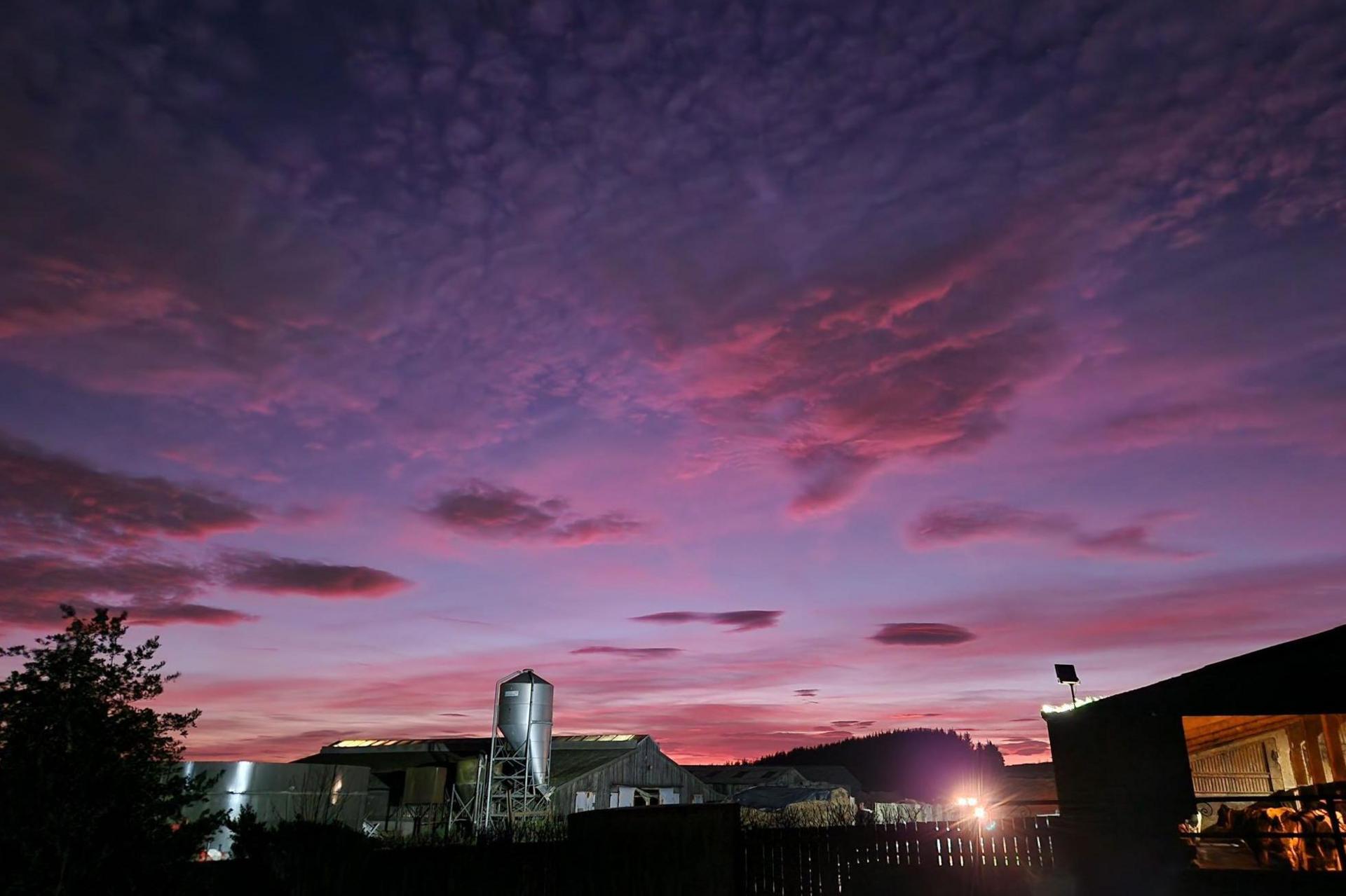 Pink clouds above farm buildings.