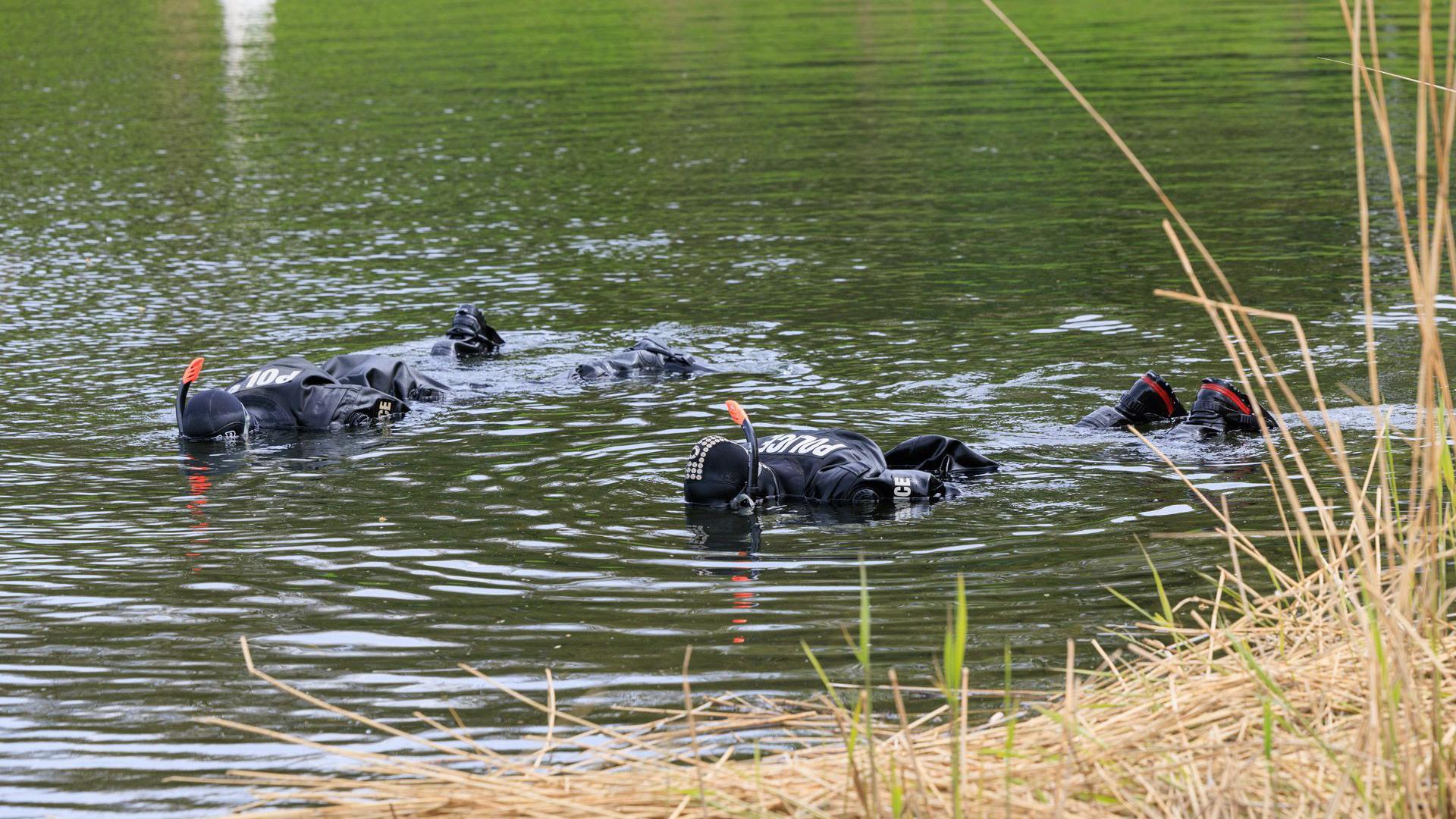 Police search the water wearing scuba diving kits and snorkels in a waterway surrounded on one side by grass and reeds