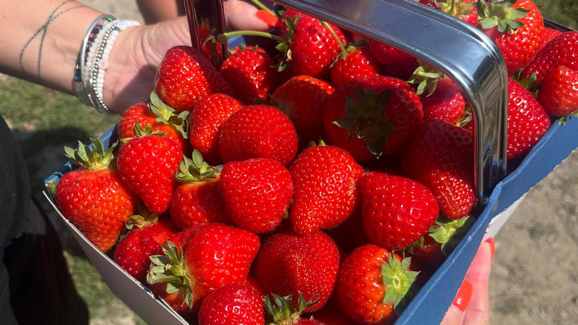 Punnet of strawberries