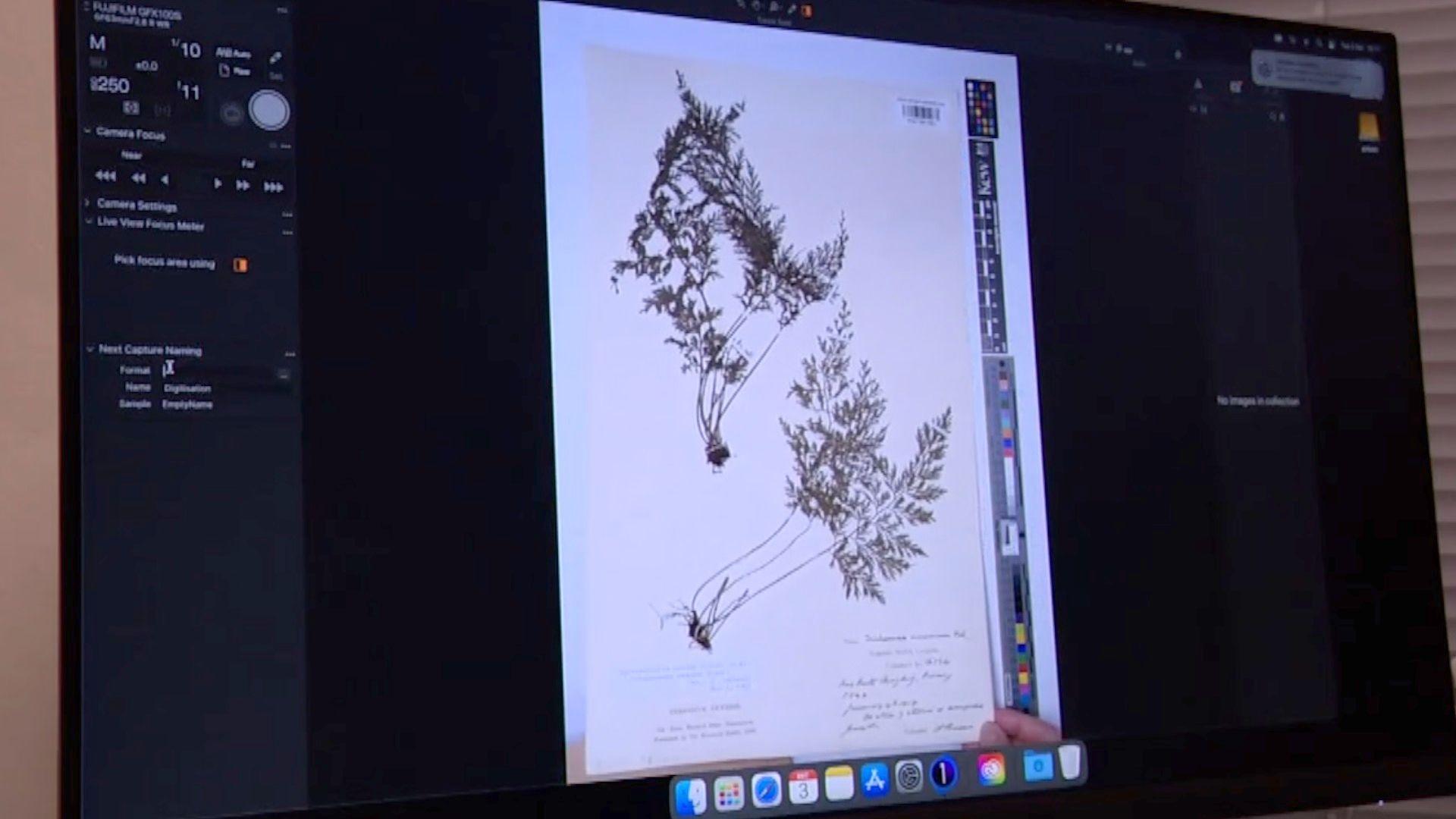 A computer screen showing plant samples at Kew Gardens