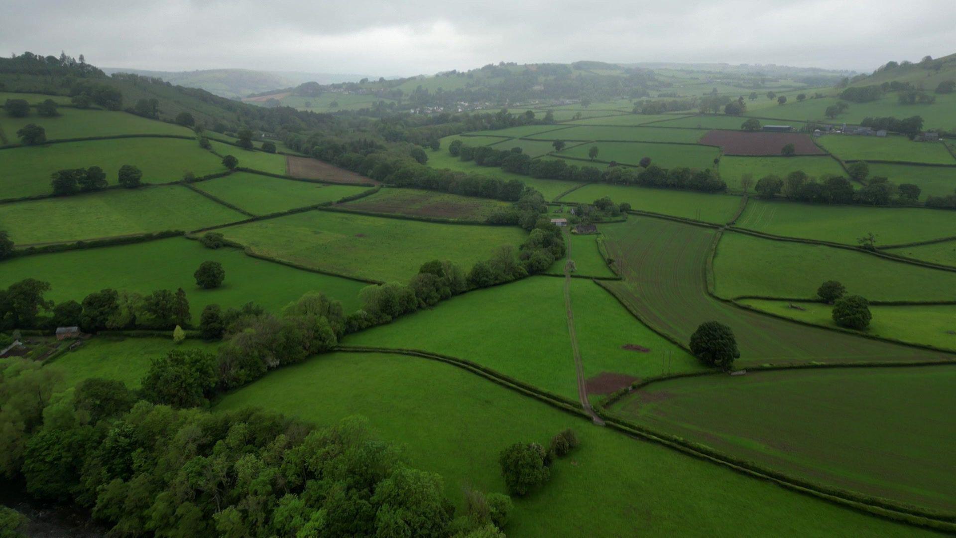 Powys