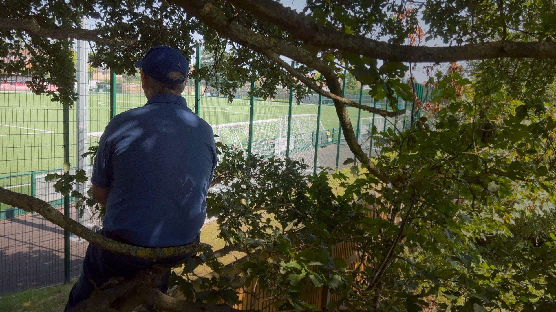 Richard Lambert sitting in a tree looking on to the pitch where Epsom & Ewell play, with his back to the camera and the pitch in the background