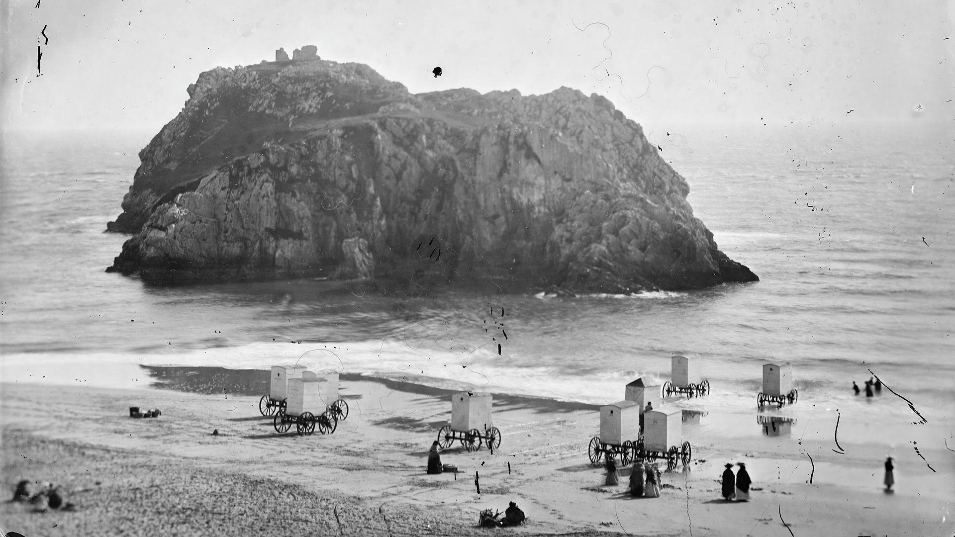 Hen lun du a gwyn o draeth dinbych y pysgod