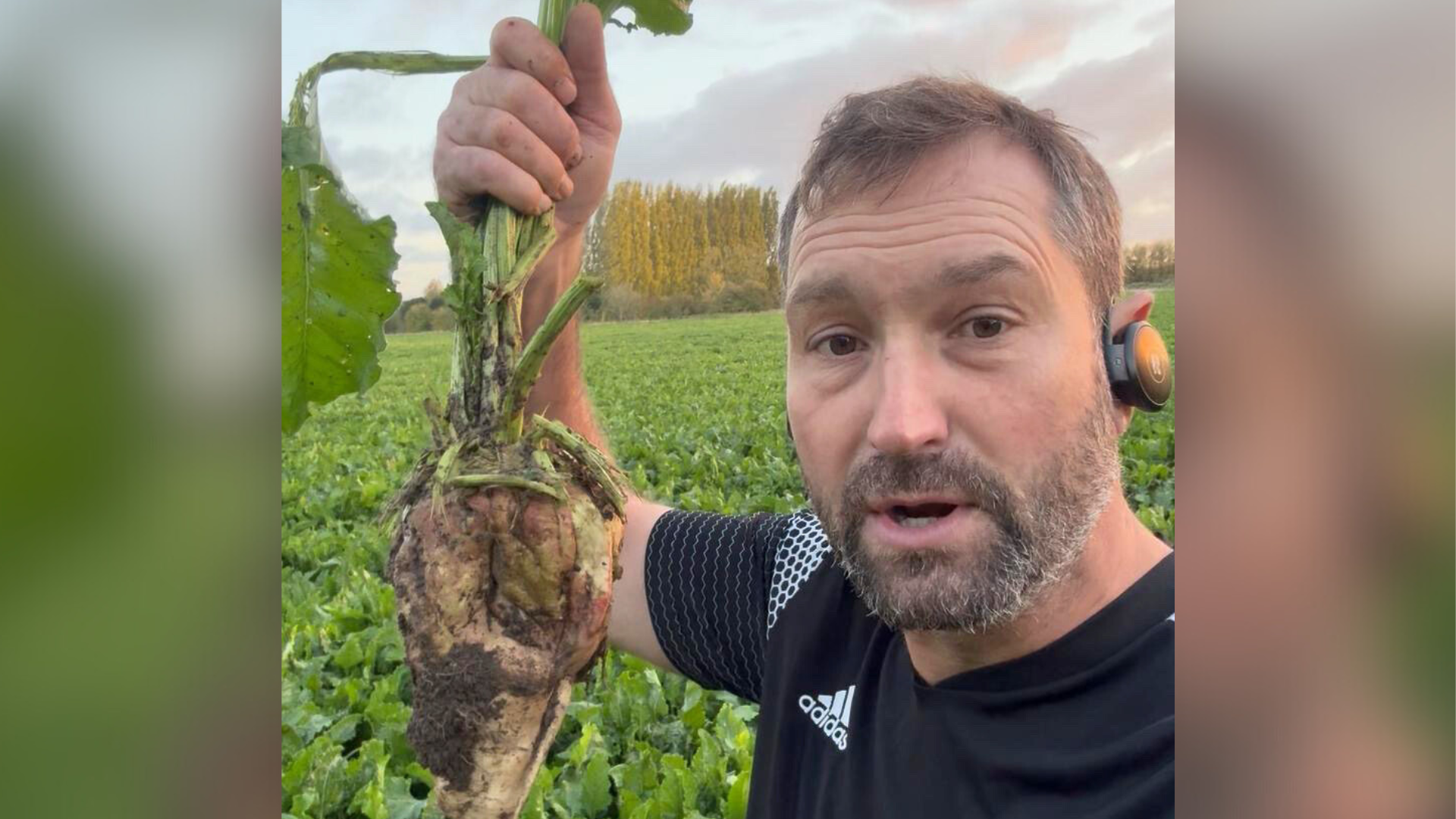 David Wheatley is standing outdoors on a rural patch of land where sugar beets are growing. The soil around him is earthy and he is wearing a black top and has a small black device, likely an earphone, on his right ear. He has short brown hair and some grey in his facial hair. In one hand, he’s holding up a sugar beet by its long green leafy stem, bringing it close to his face. The sugar beet is diamond-shaped and still has soil clinging to it. There are no buildings visible, just open flat land and crops.