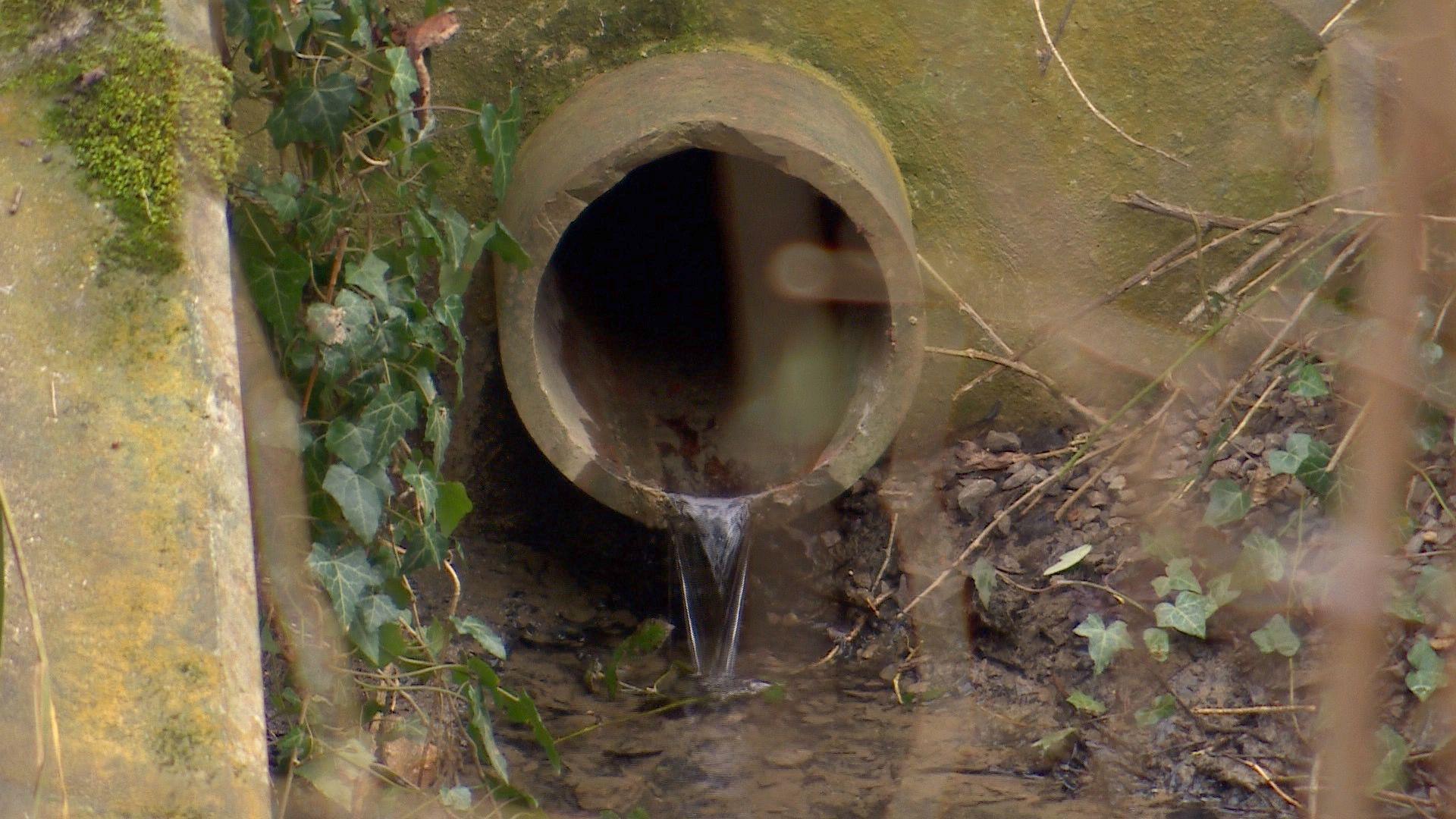 A storm overflow pipe which goes into the River Chelt - a tributary of the river Severn. The image shows water flowing out of a pipe and into a small stream below.