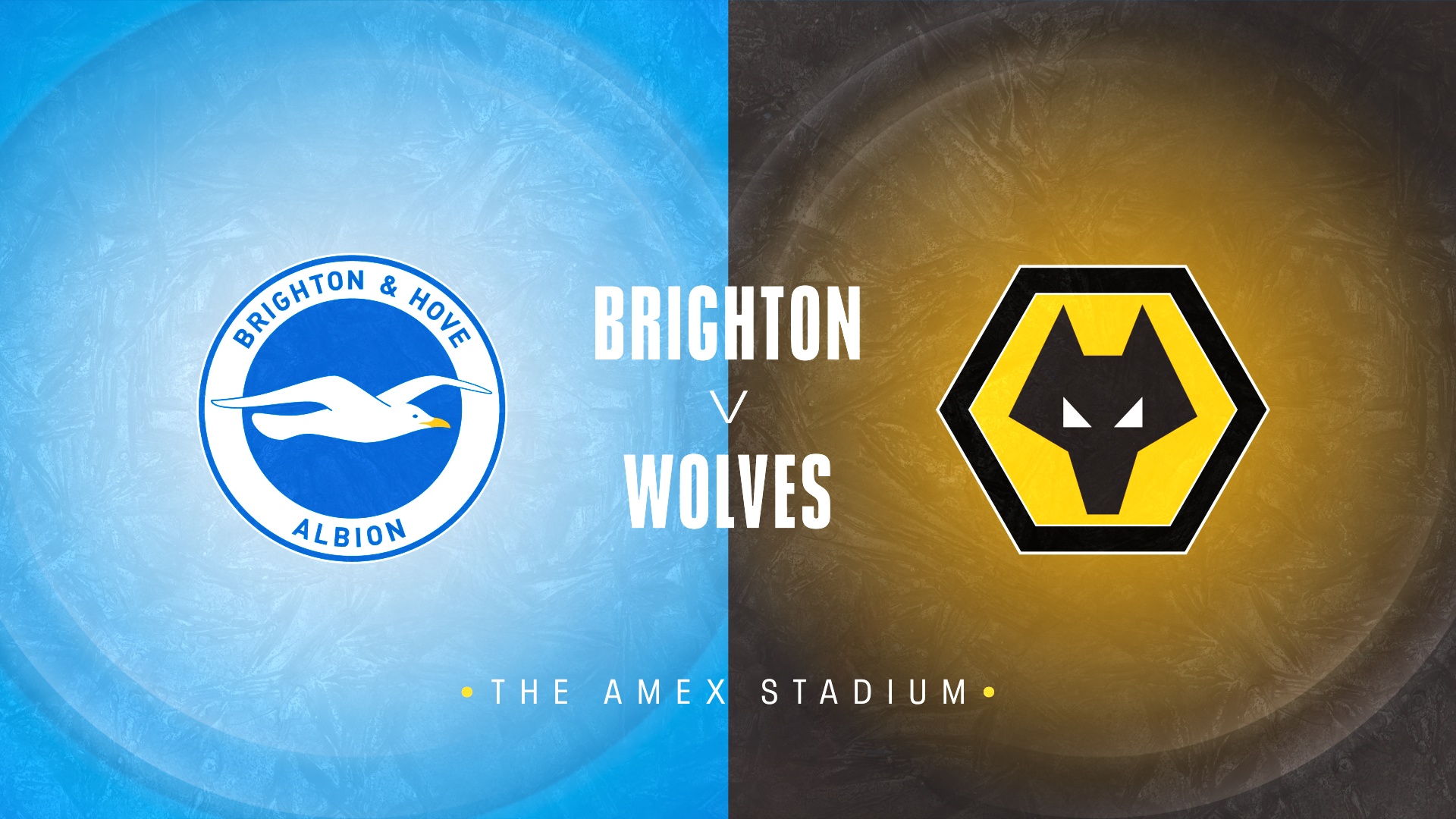 Brighton v Wolves