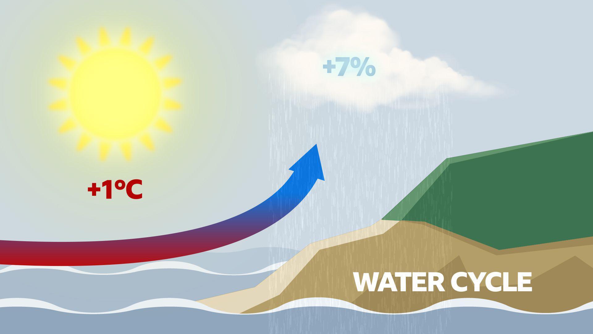 A stylised image of the water cycle, showing the sea and the land. An arrow rises from the water depicting evaporation into the atmosphere, driven by the sun. A rain cloud is pictured with 7% written on it, alongside the sun with 1 degree celsius written underneath.