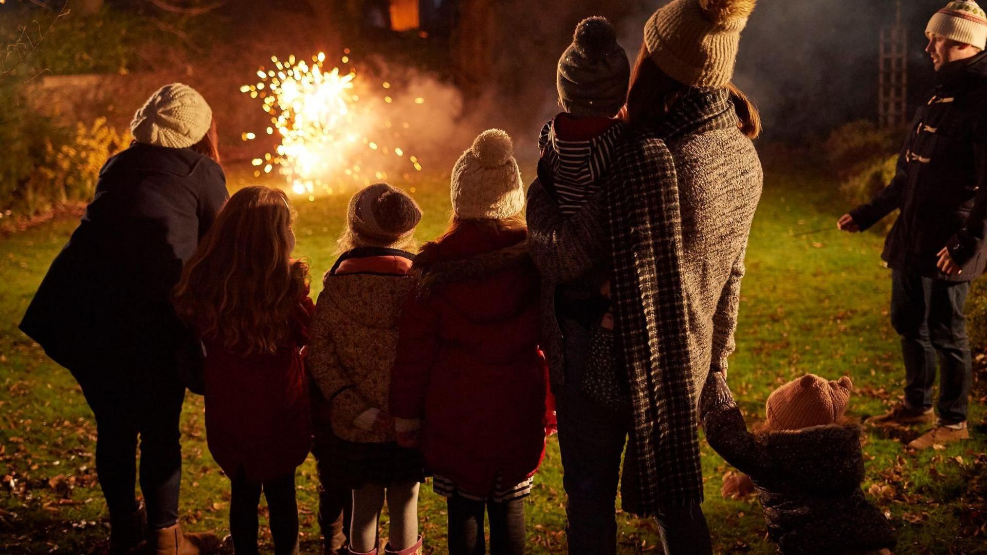 Adults and children wearing hats and scarves standing on a lawned area in the dark watching fireworks