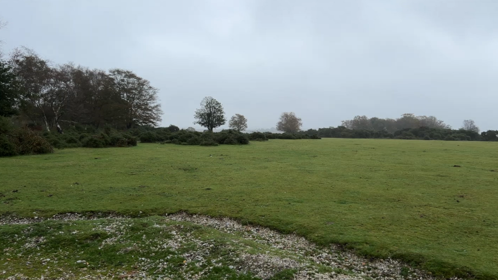 A stretch of open grassland with some shrubbery and trees on the horizon. It's raining and the sky is cloudy.