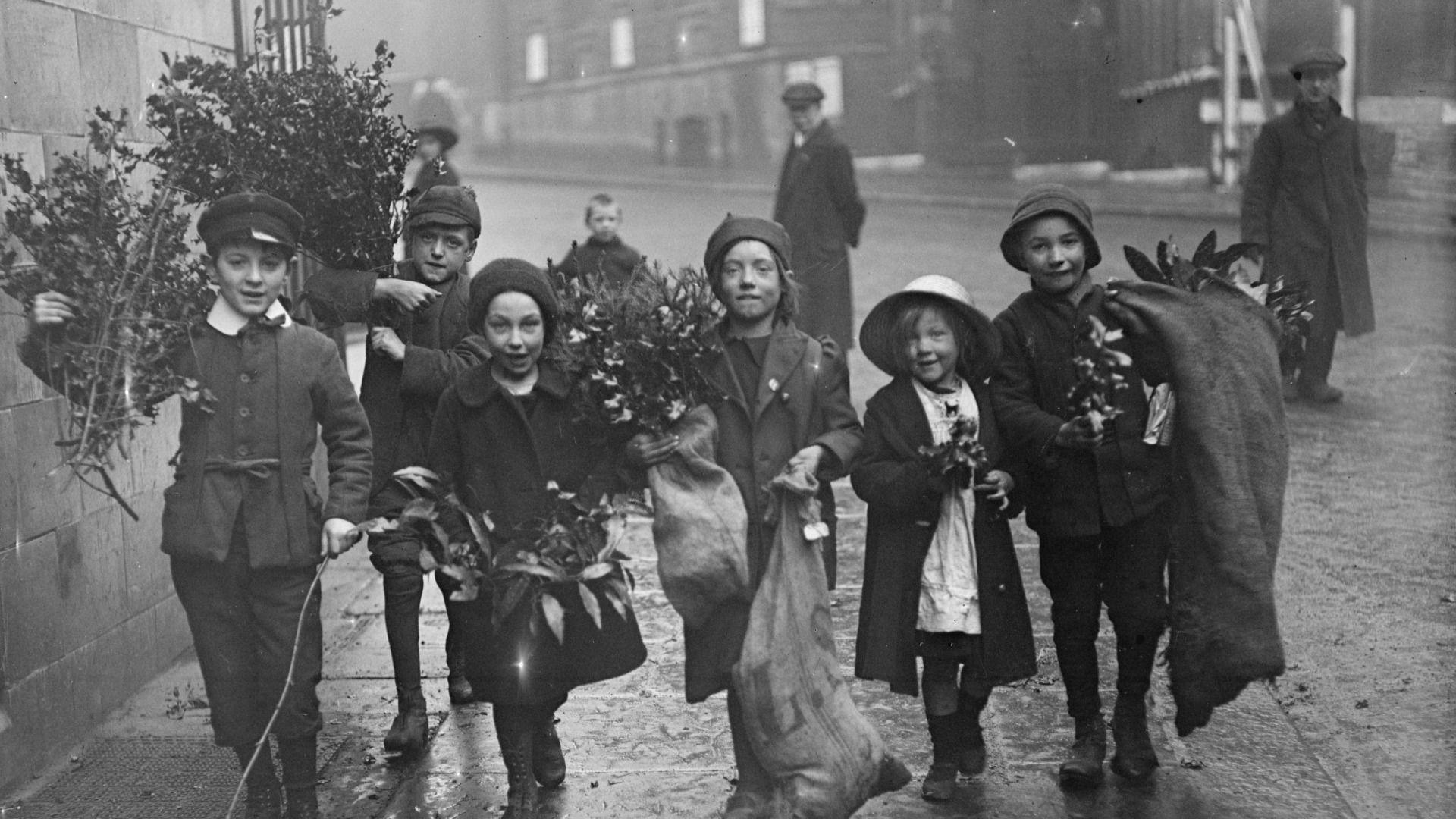 plant yn cario celyn ac uchelwydd