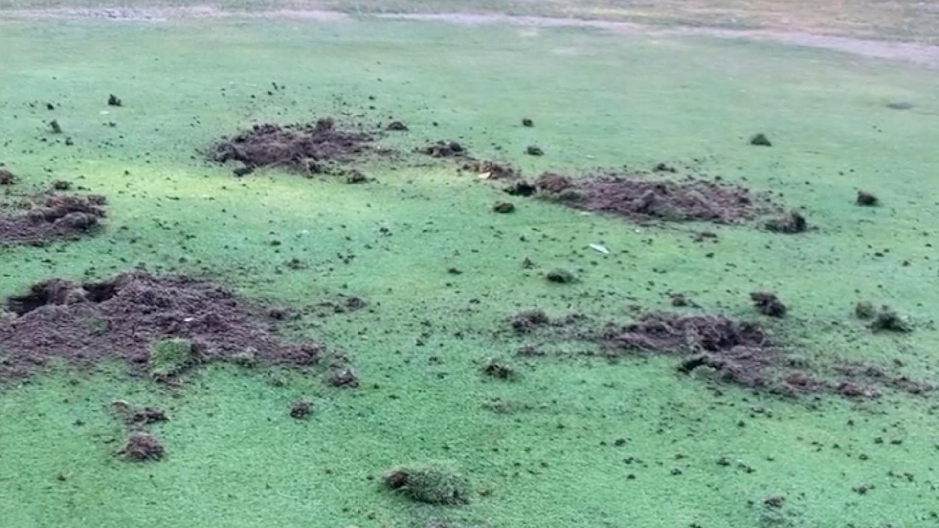 Holes and scattered earth can be seen on the closely-cut grass of a golf club green.