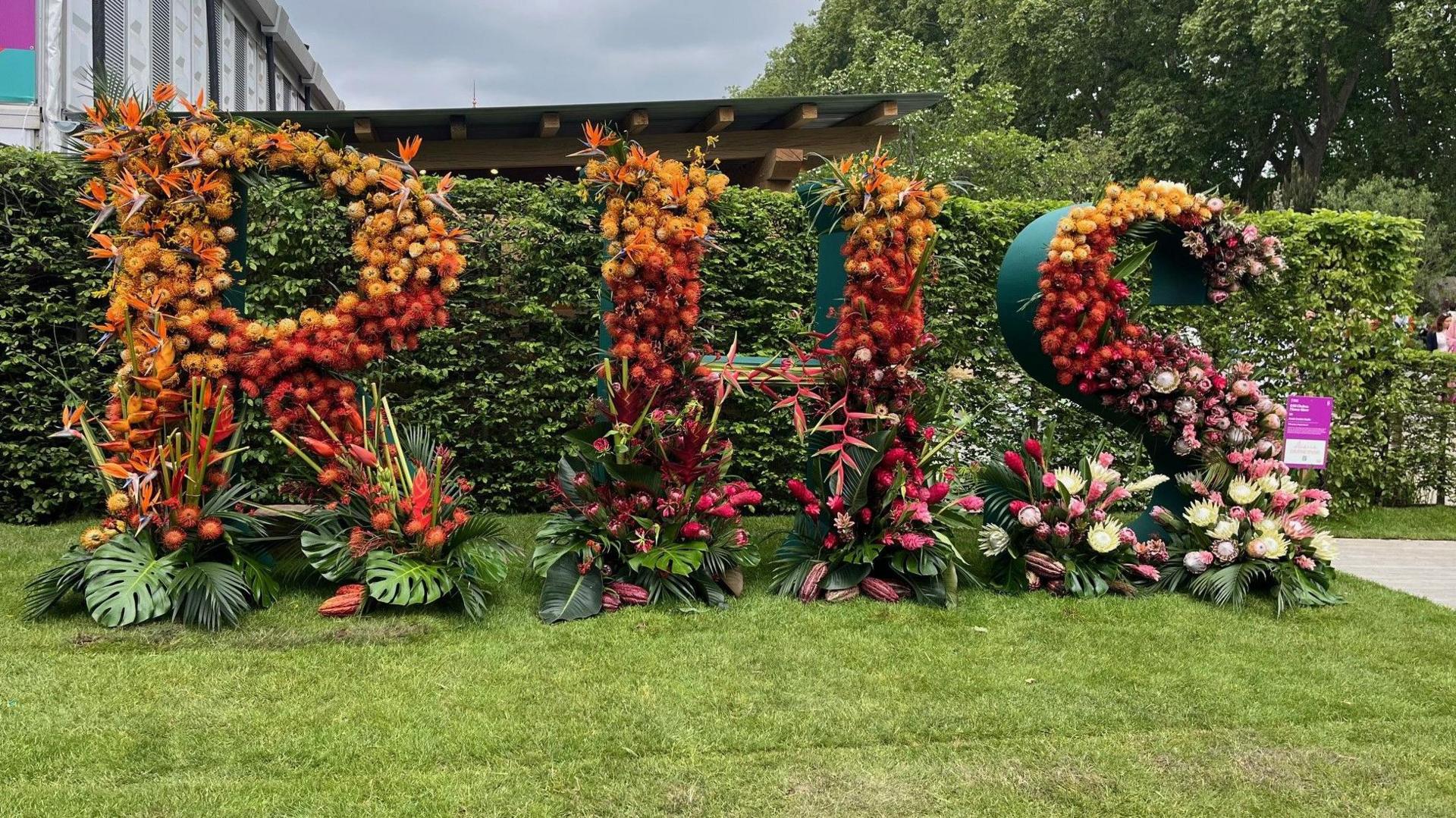 Three giant letters that spell "RHS" are filled to the brim with tropical looking flowers. The colours at the top are orange and red, while towards the bottom there are pink and white flowers. The letters are positioned in front of a hedge.