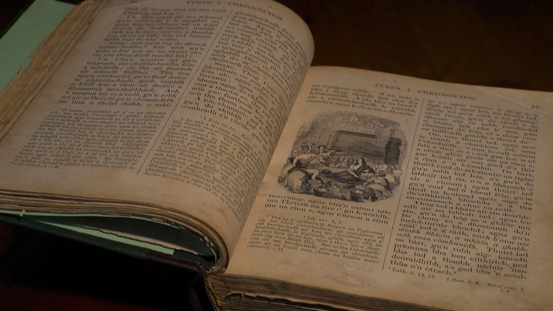 Duilleagan bhon leabhar