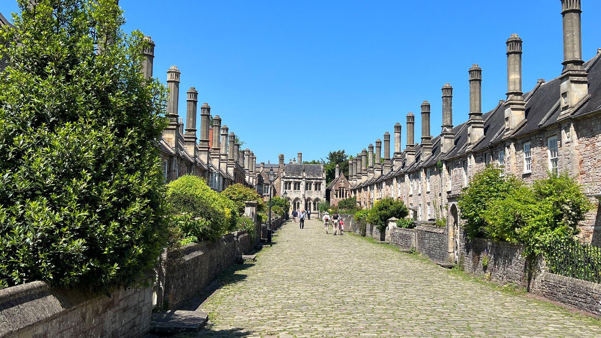 Vicar's Close, with a row of medieval homes on a cobbled street with a tree in the foreground.