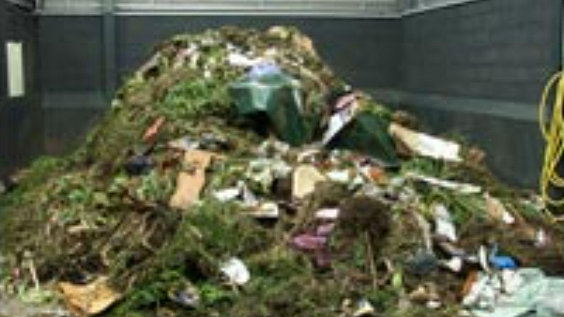 A pile of green waste to be recycled