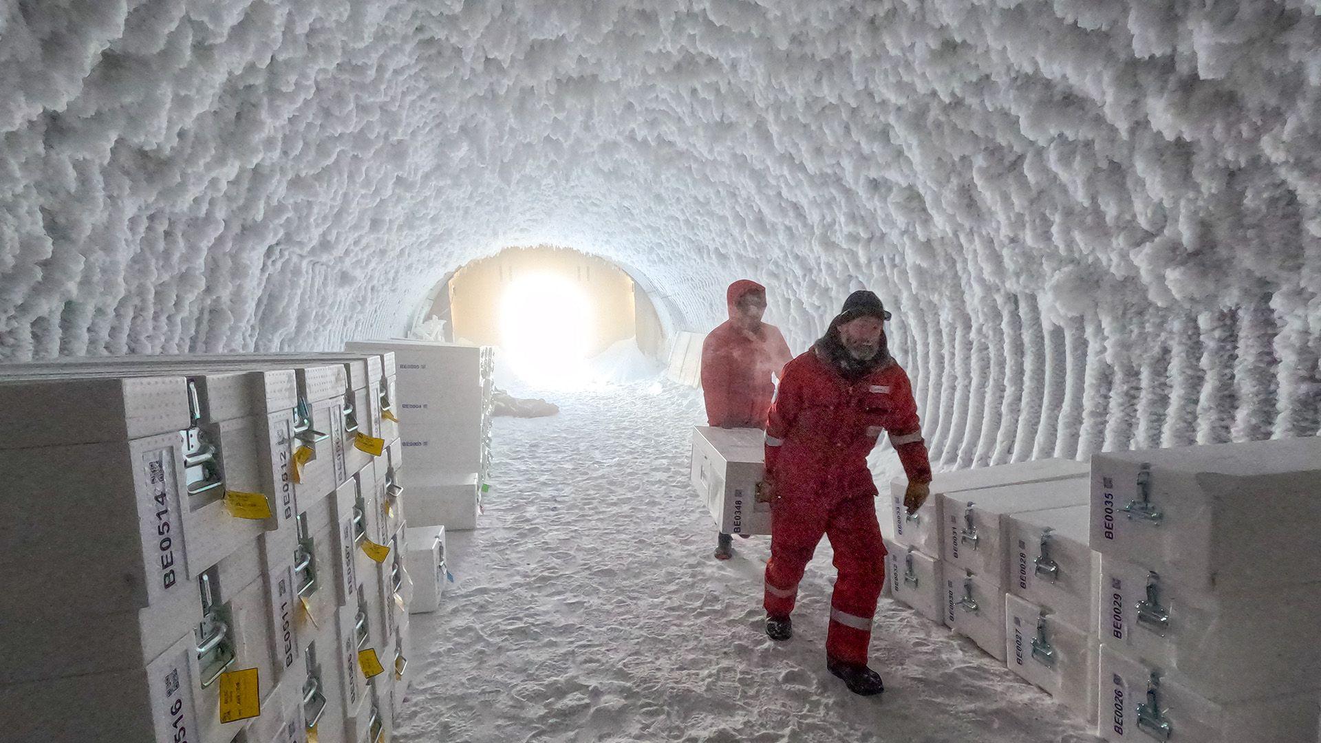 Scientists dug up the ancient ice and stored it inside frozen caves on the ice sheet