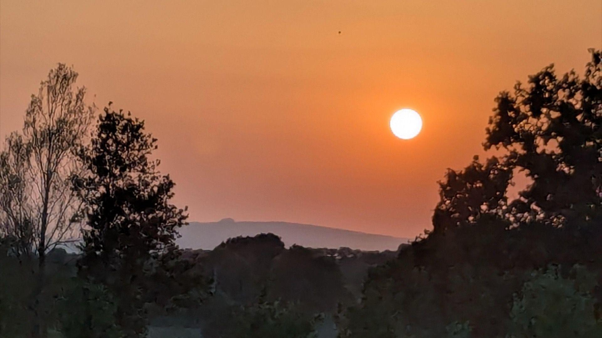 A bright sun appears to be setting in a deep orange sky. There are no clouds in the sky and the light has silhouetted the trees in the foreground and the hills in the background.