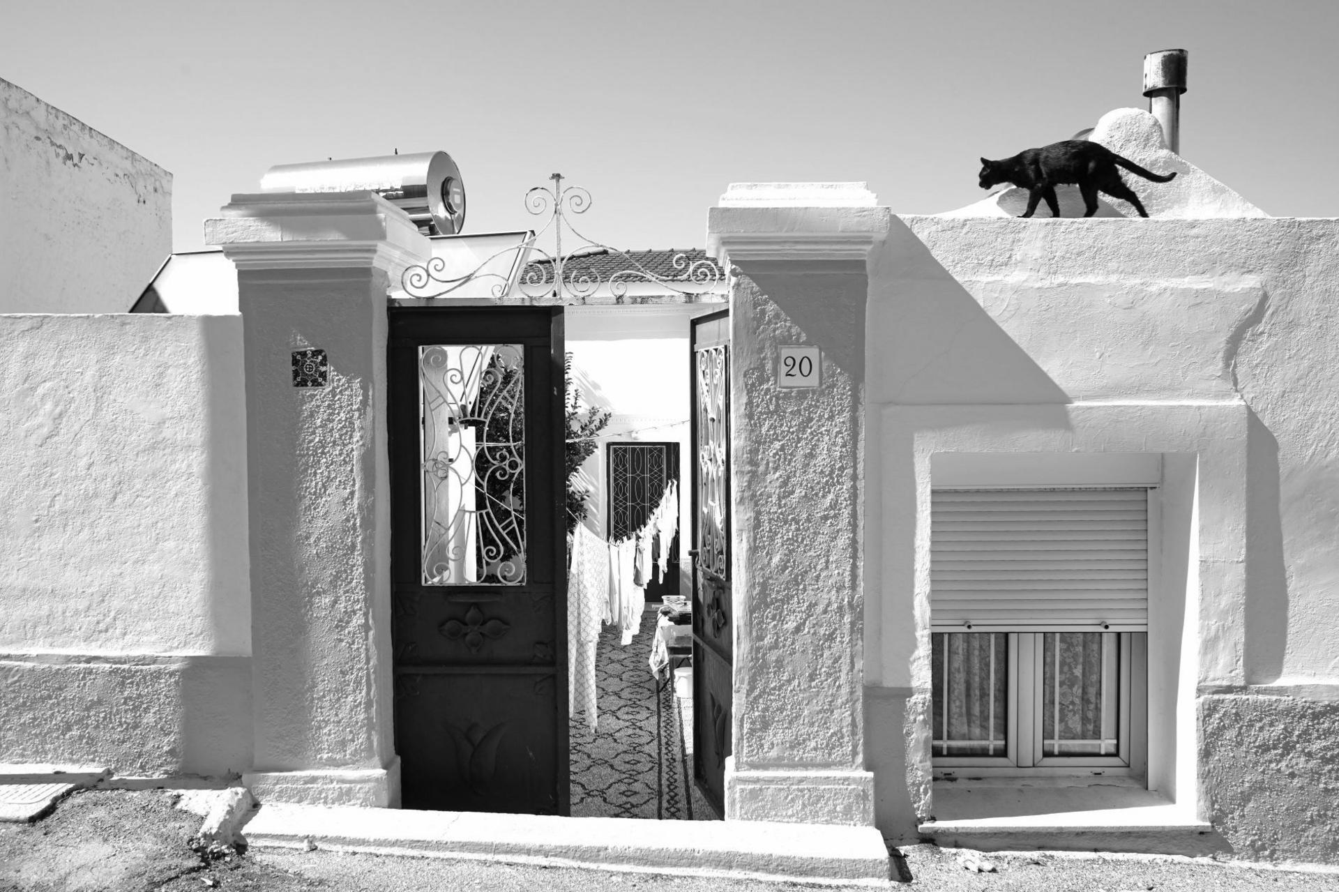 A black cat walks along the roof of a whitewashed house