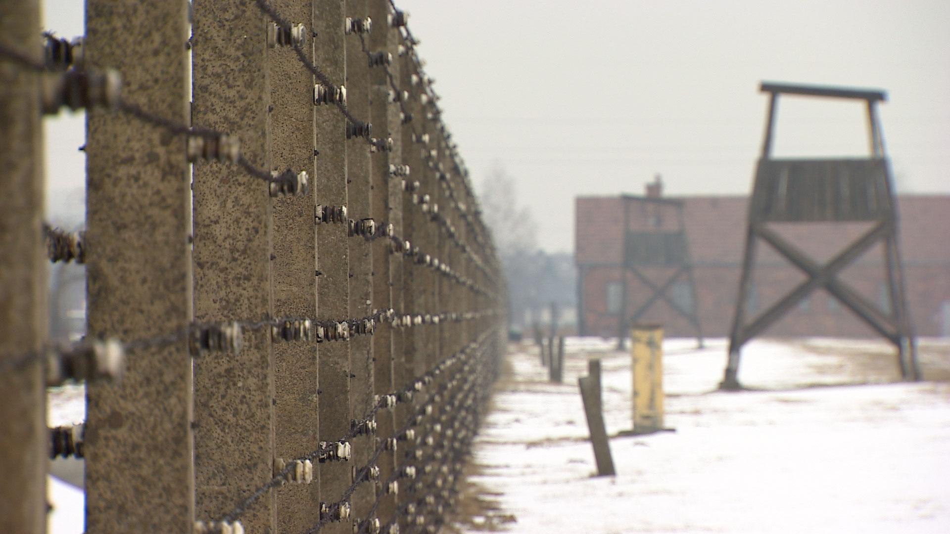 The fence at the Auschwitz-Birkenau death camp