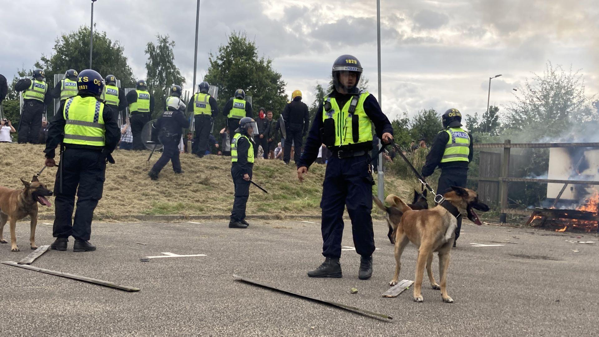 A police dog standing by a police officer with a fire in the background