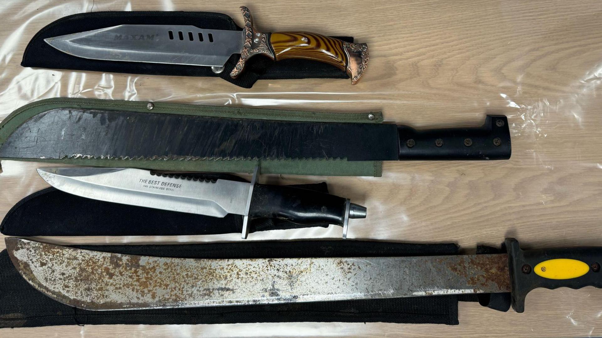 Zombie-style knives handed in to North Wales Police